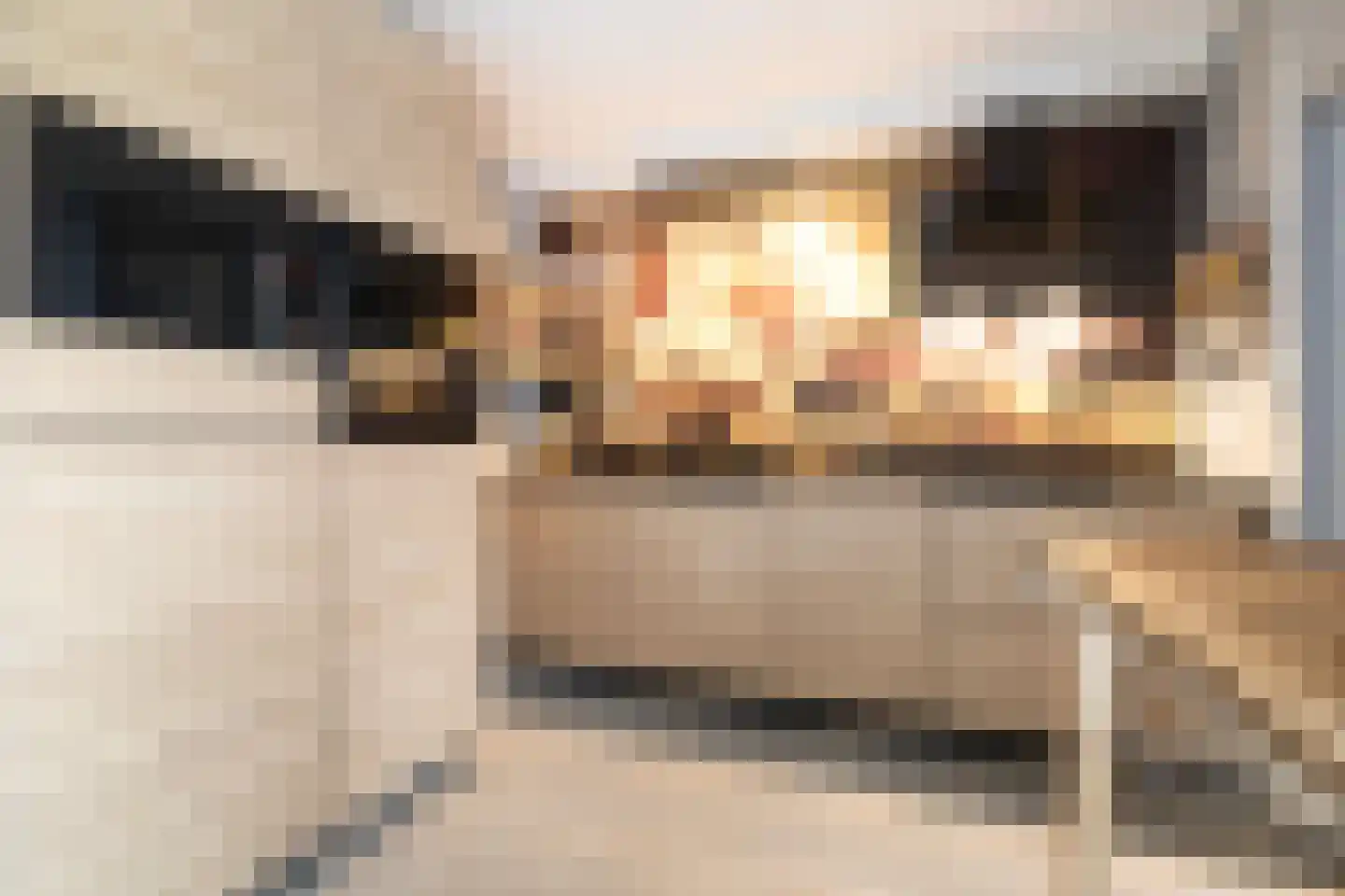 Wyger Martensstrjitte 16 Damwâld thumbnail 4