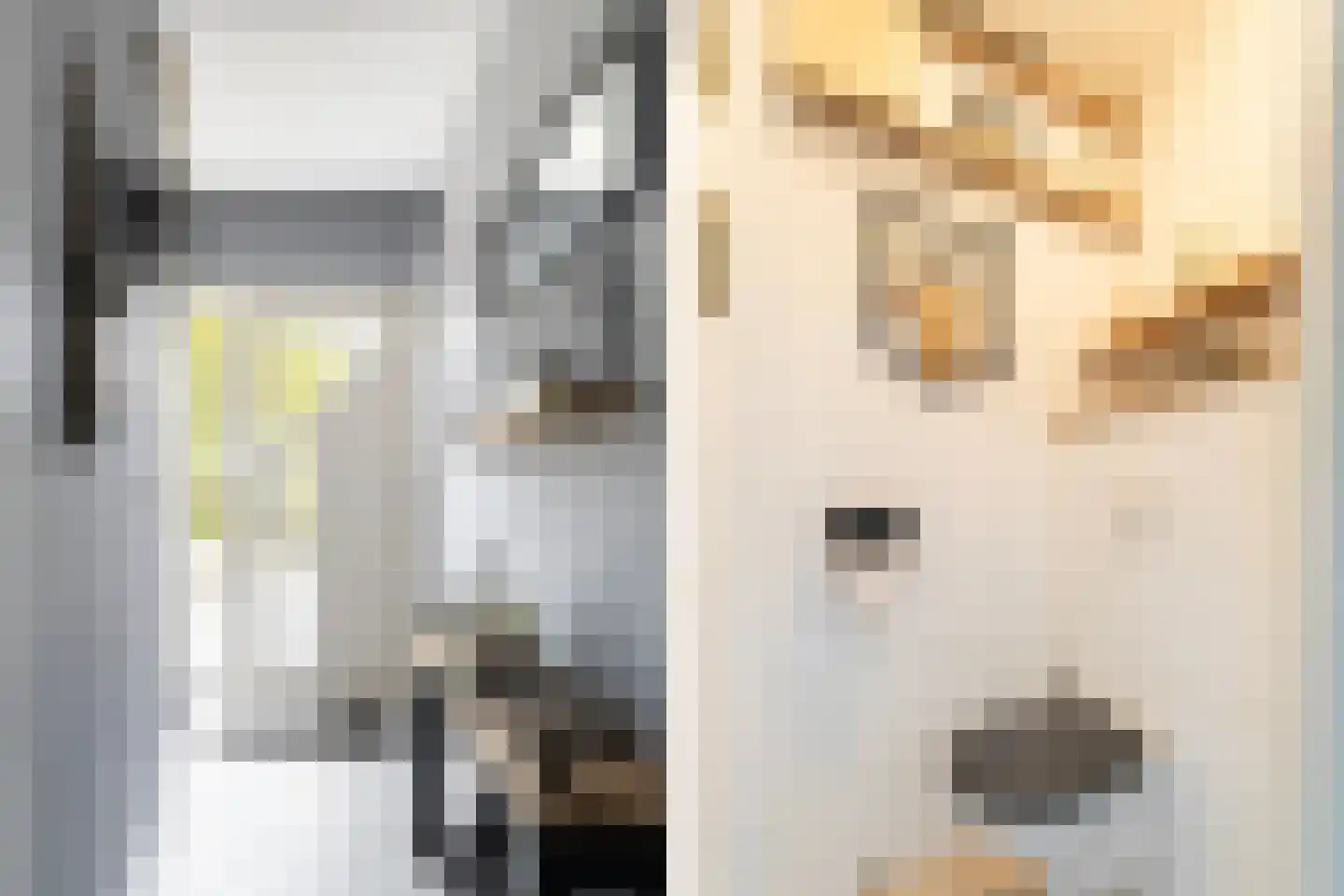 Wyger Martensstrjitte 16 Damwâld thumbnail 8