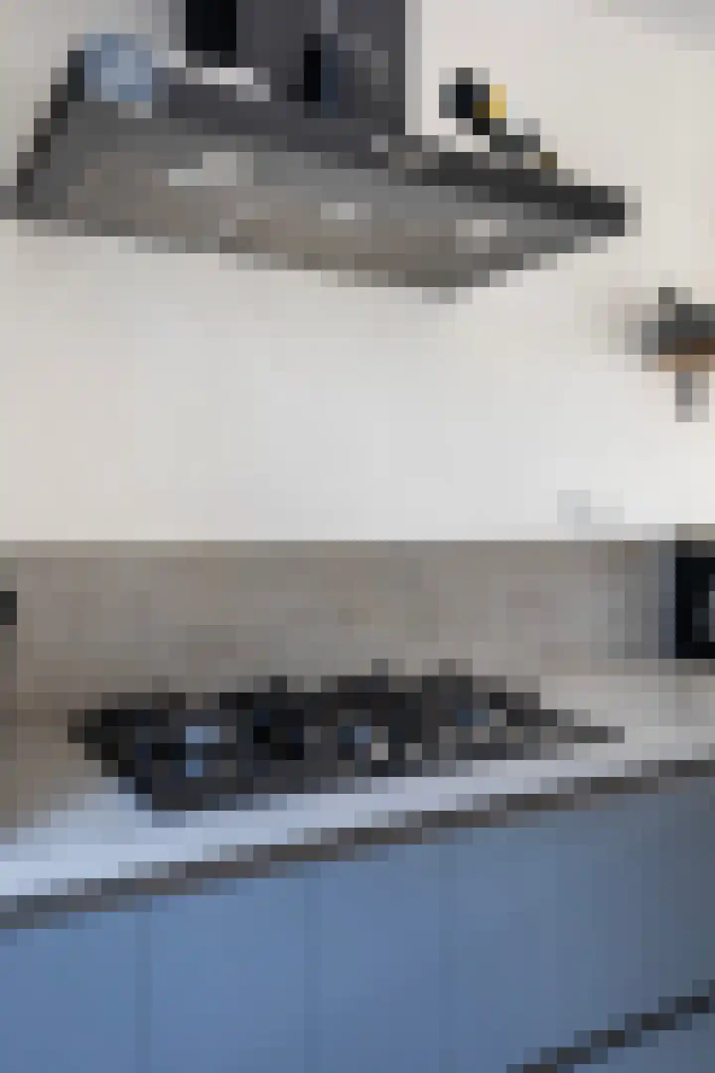 Wyger Martensstrjitte 40 Damwâld thumbnail 30