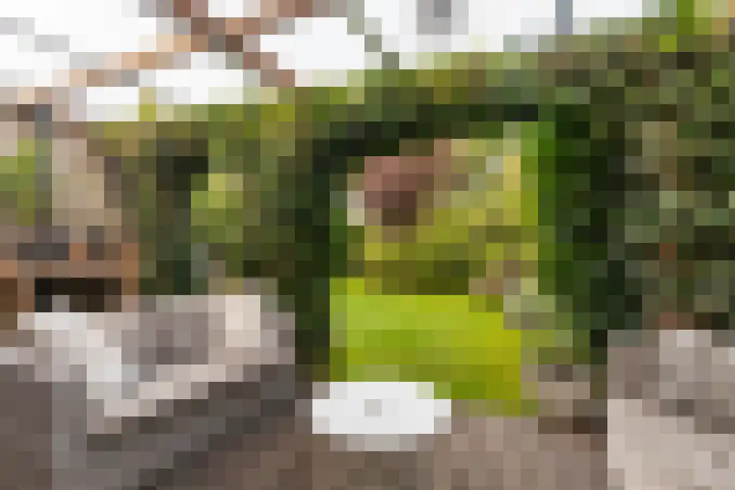 Wyger Martensstrjitte 40 Damwâld thumbnail 34
