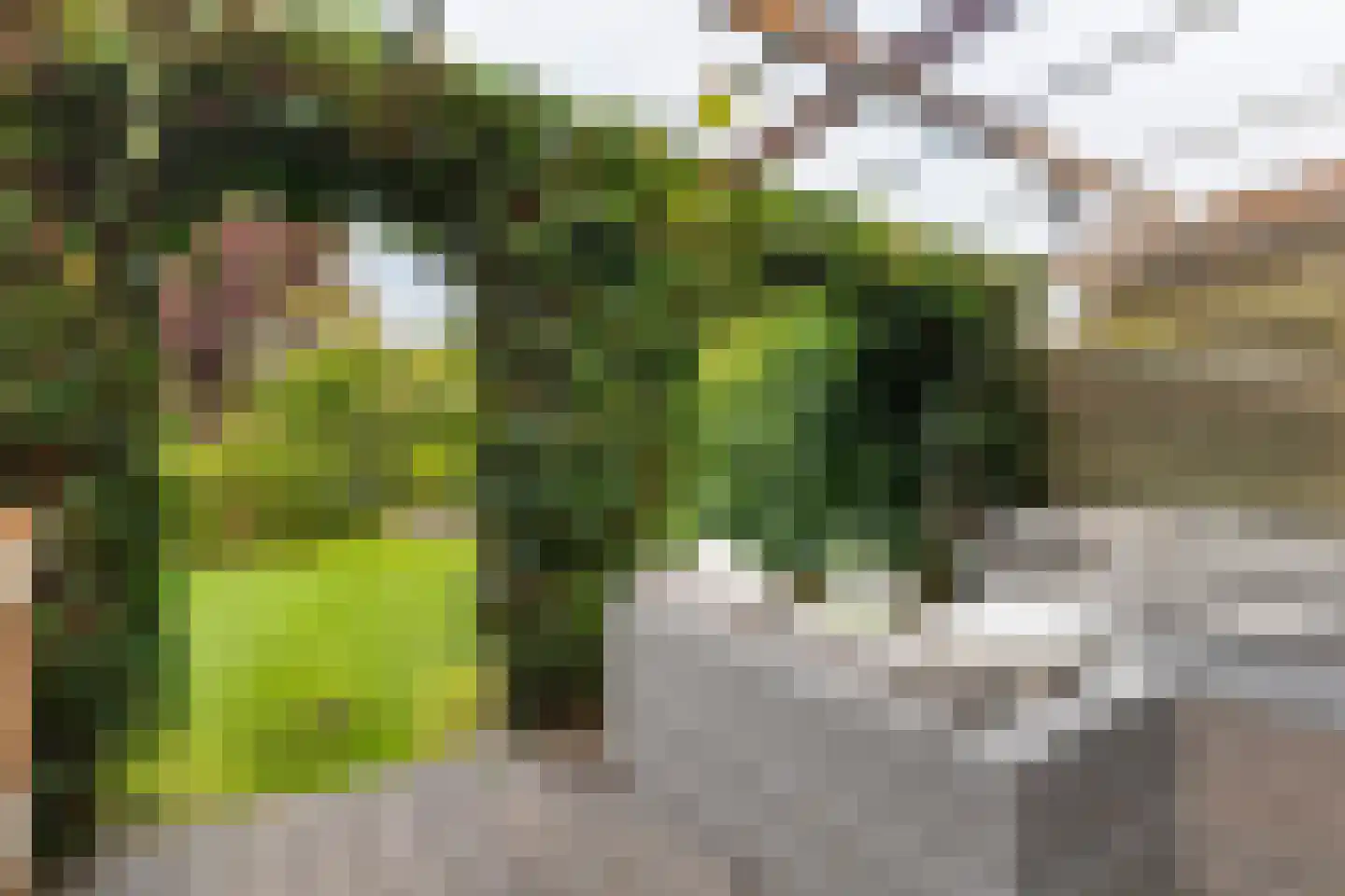 Wyger Martensstrjitte 40 Damwâld thumbnail 35
