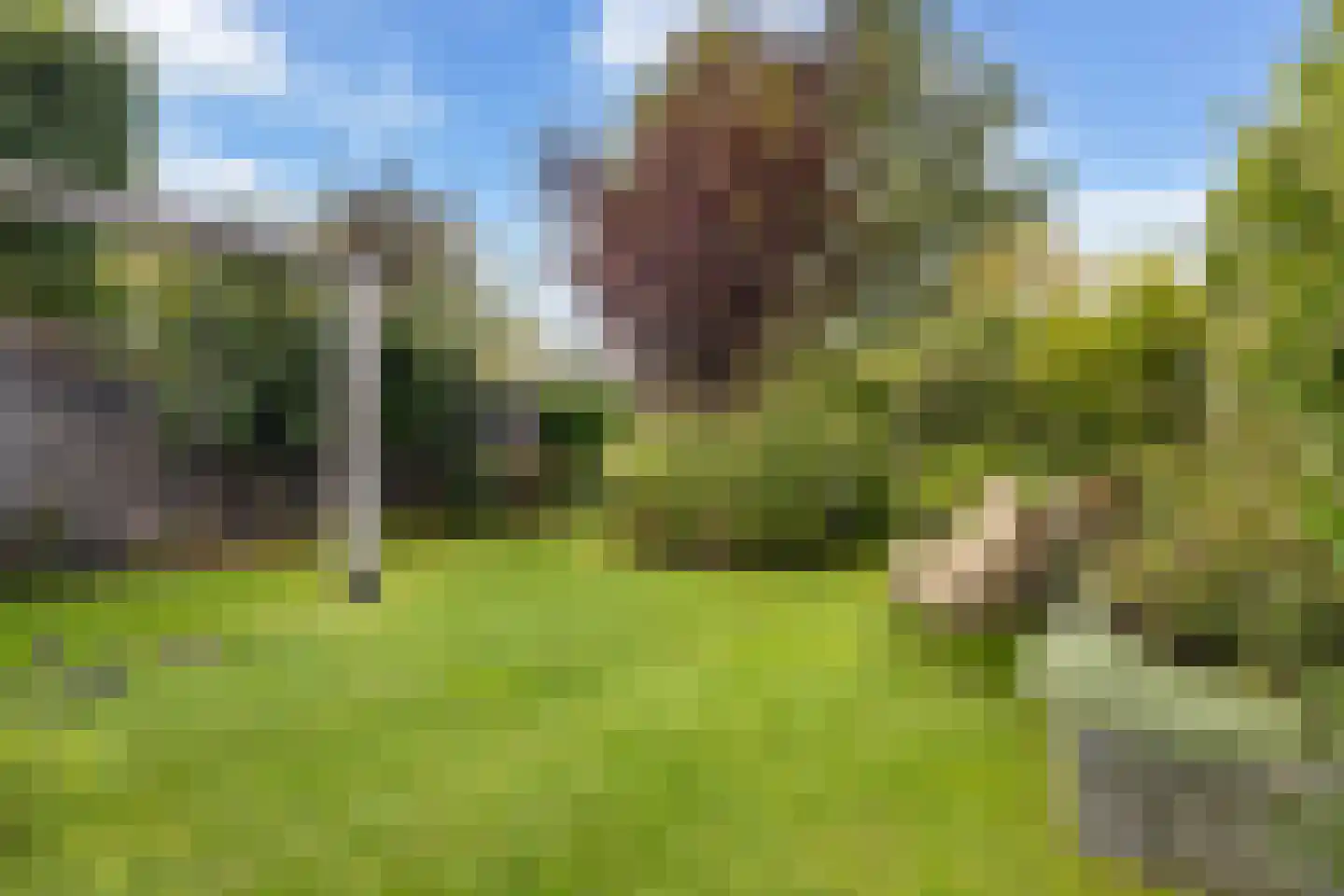 Wyger Martensstrjitte 40 Damwâld thumbnail 37