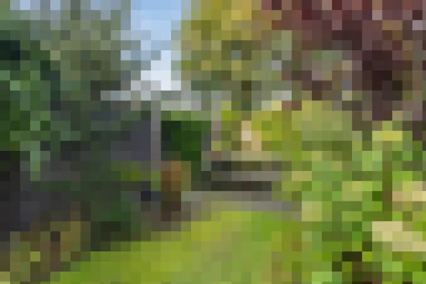 Wyger Martensstrjitte 40 Damwâld thumbnail 39