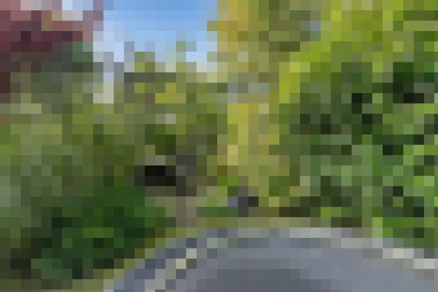 Wyger Martensstrjitte 40 Damwâld thumbnail 40