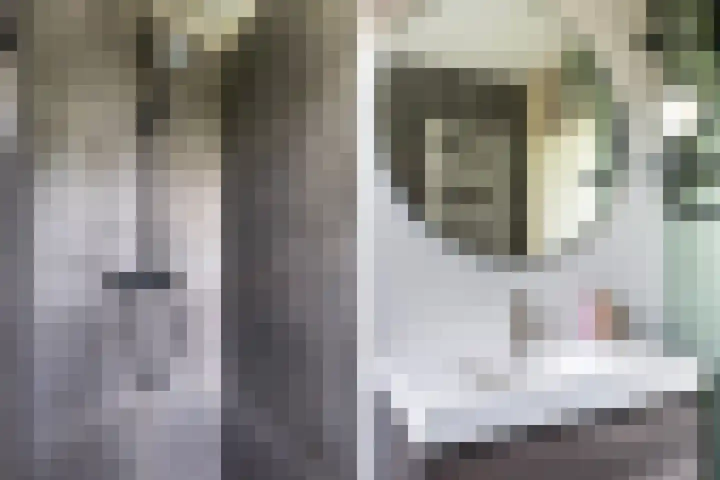 Wyger Martensstrjitte 40 Damwâld thumbnail 5