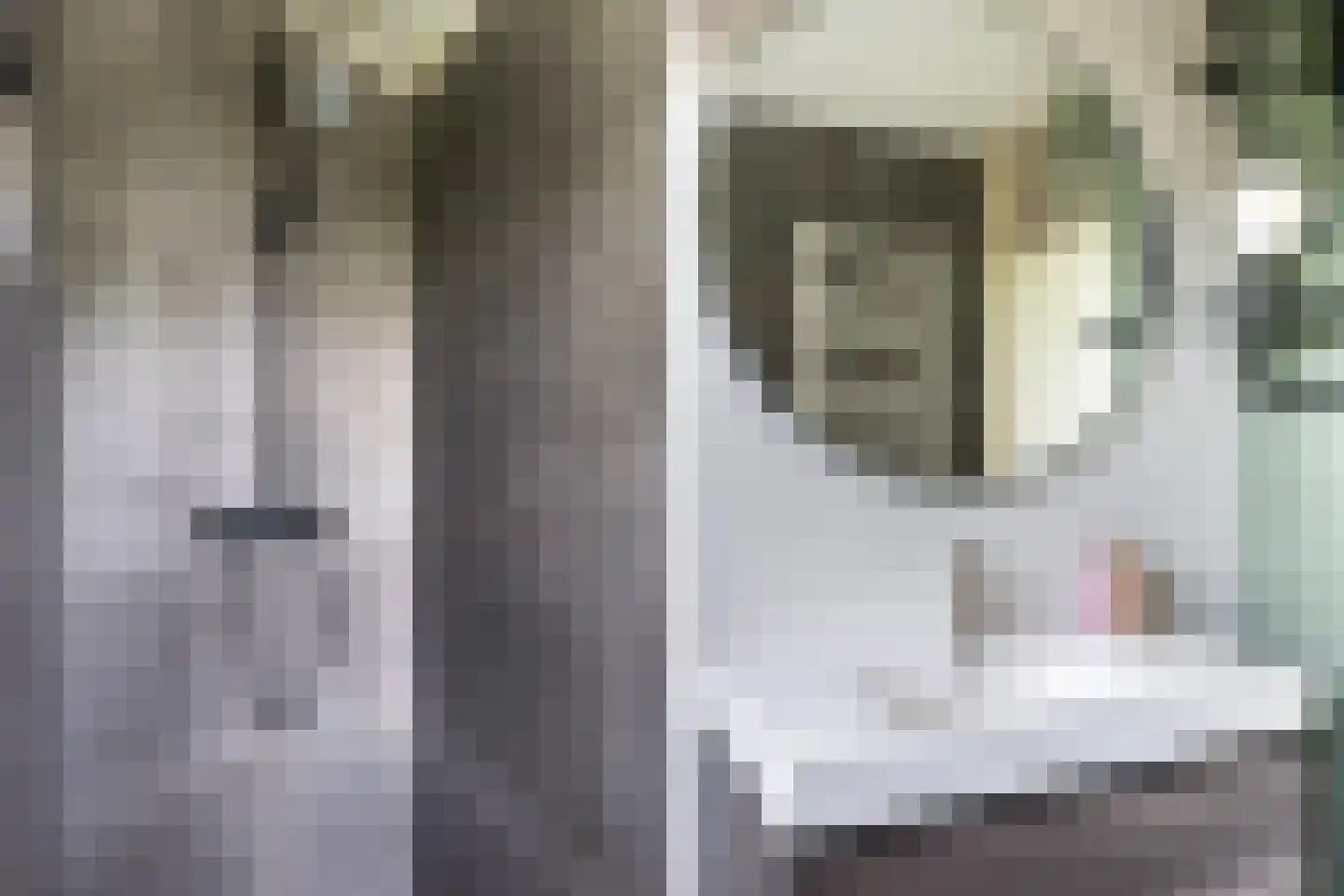 Wyger Martensstrjitte 40 Damwâld thumbnail 51