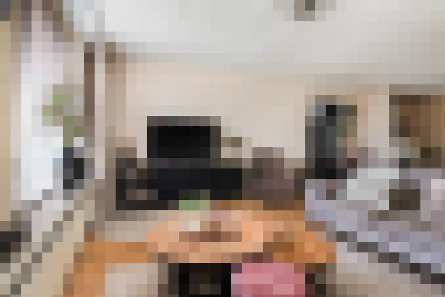 Wyger Martensstrjitte 50 Damwâld thumbnail 15