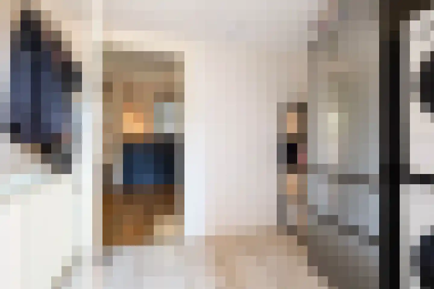 Wyger Martensstrjitte 50 Damwâld thumbnail 28