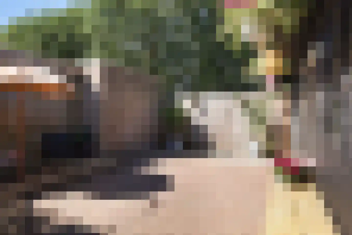 Wyger Martensstrjitte 50 Damwâld thumbnail 32
