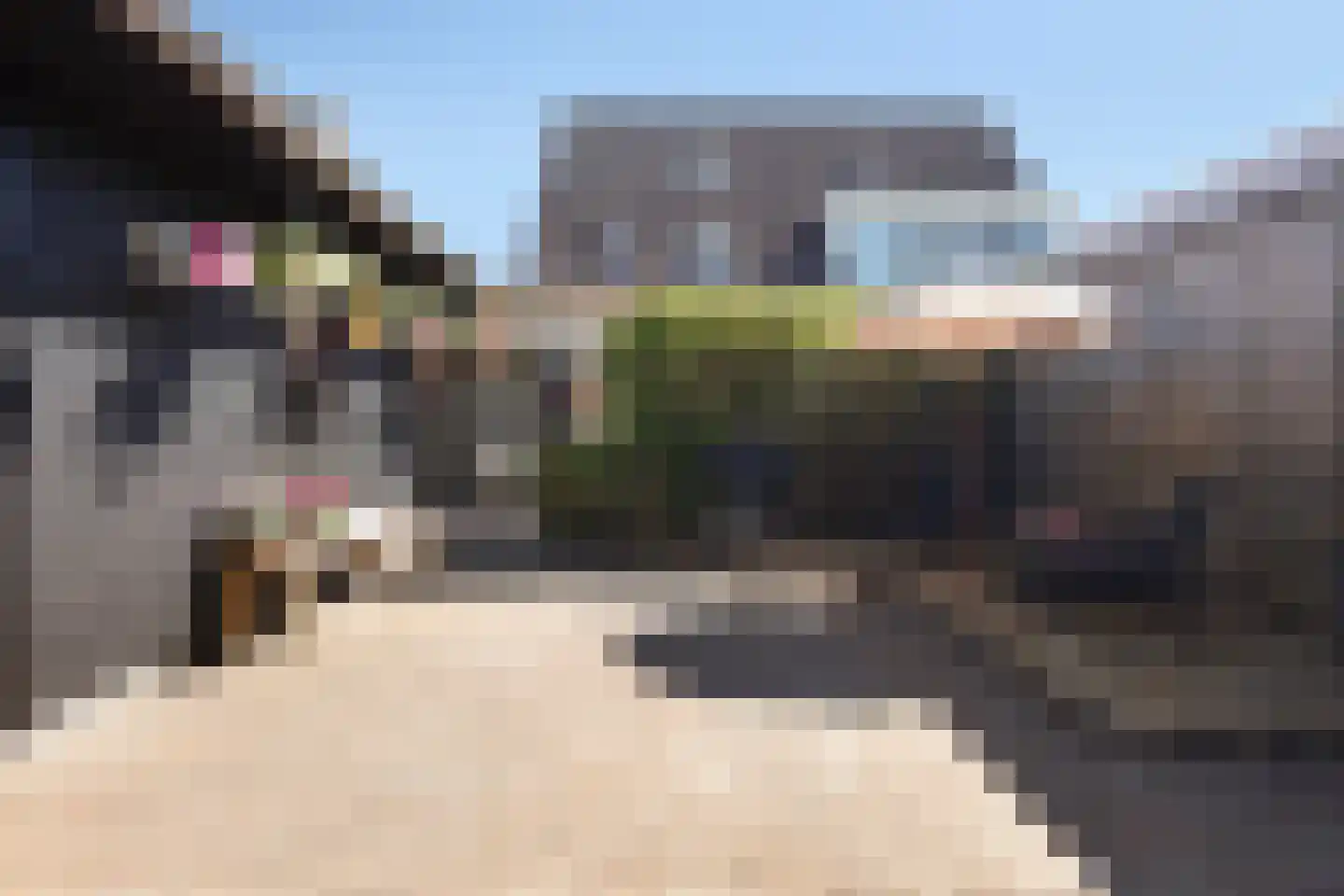Wyger Martensstrjitte 50 Damwâld thumbnail 33