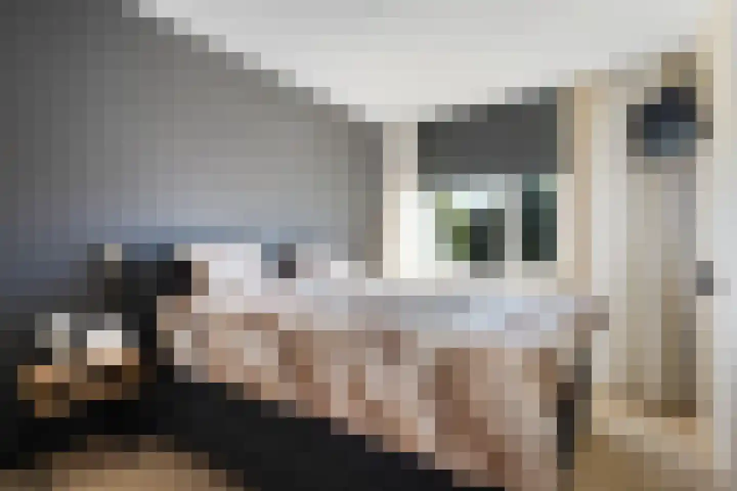 Wyger Martensstrjitte 50 Damwâld thumbnail 36