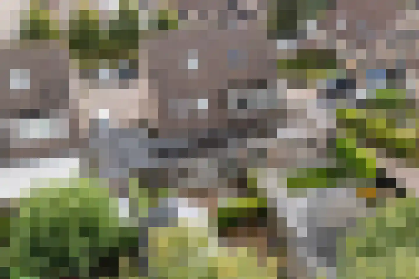 Wyger Martensstrjitte 50 Damwâld thumbnail 47