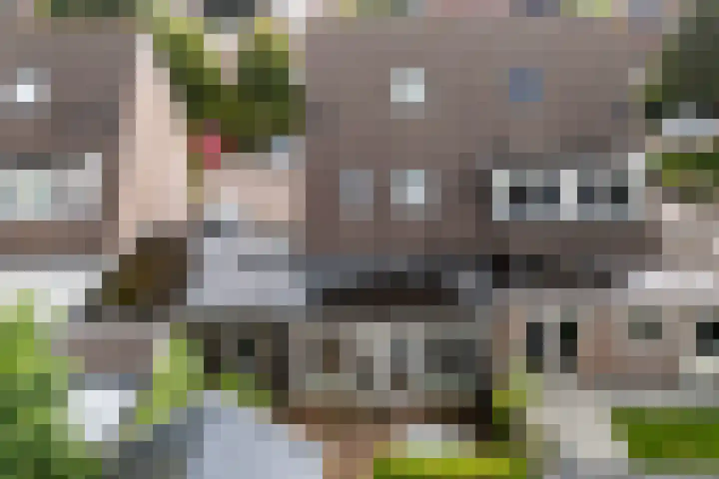 Wyger Martensstrjitte 50 Damwâld thumbnail 48