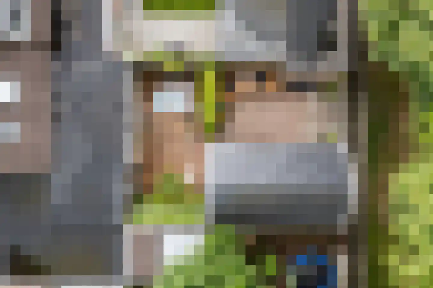 Wyger Martensstrjitte 50 Damwâld thumbnail 49