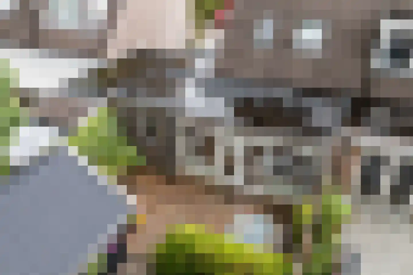Wyger Martensstrjitte 50 Damwâld thumbnail 50