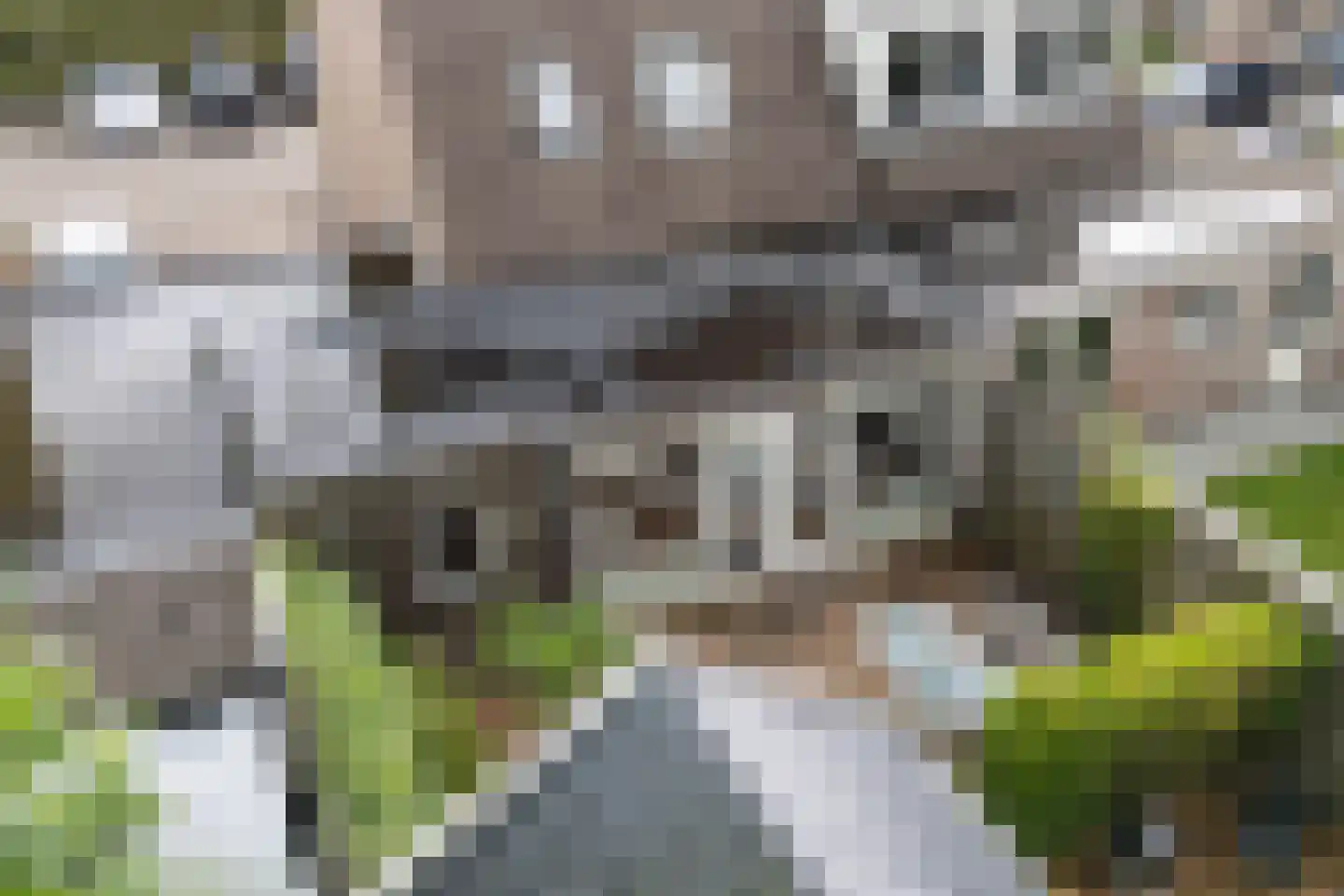 Wyger Martensstrjitte 50 Damwâld thumbnail 51