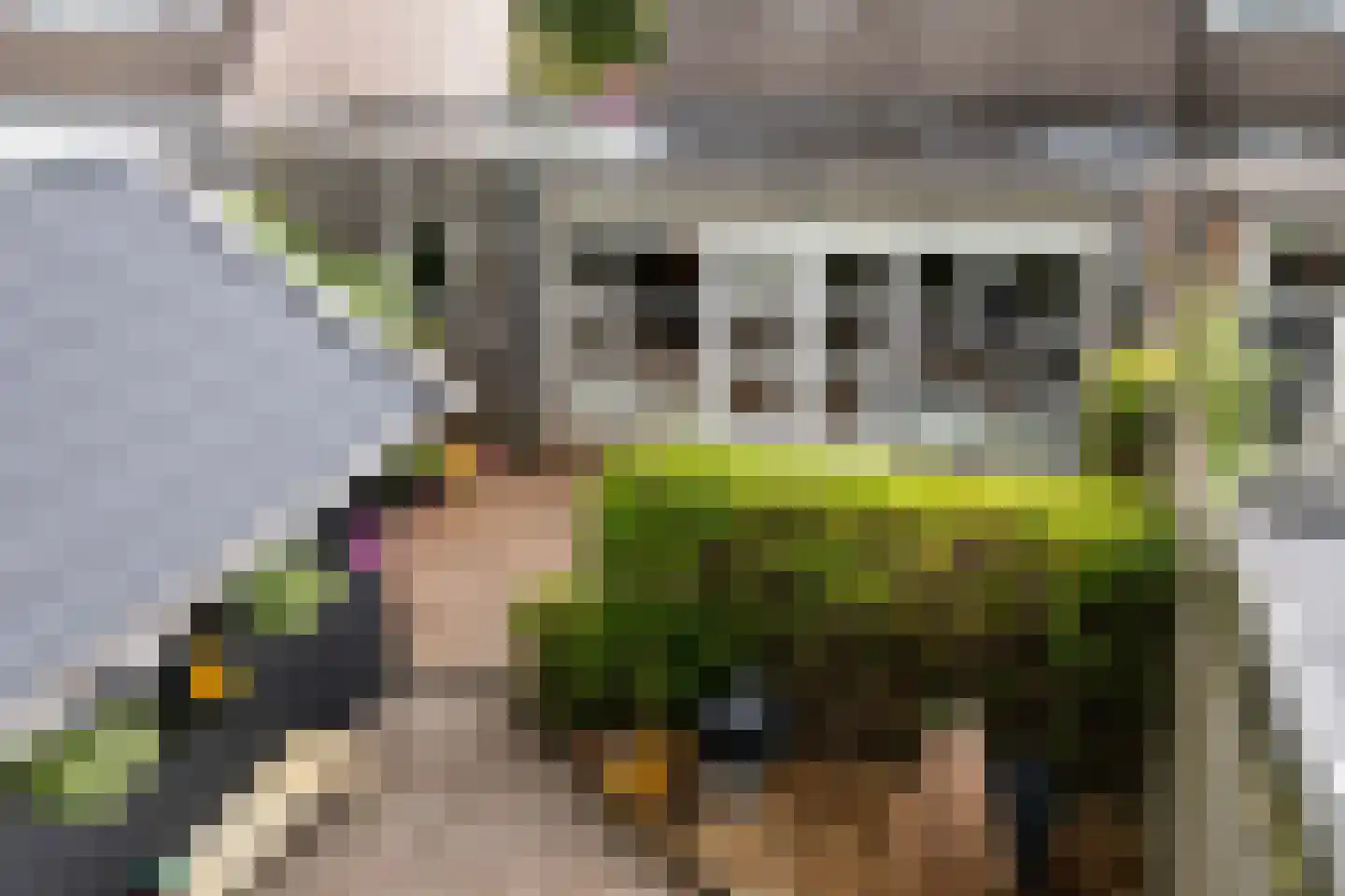 Wyger Martensstrjitte 50 Damwâld thumbnail 52