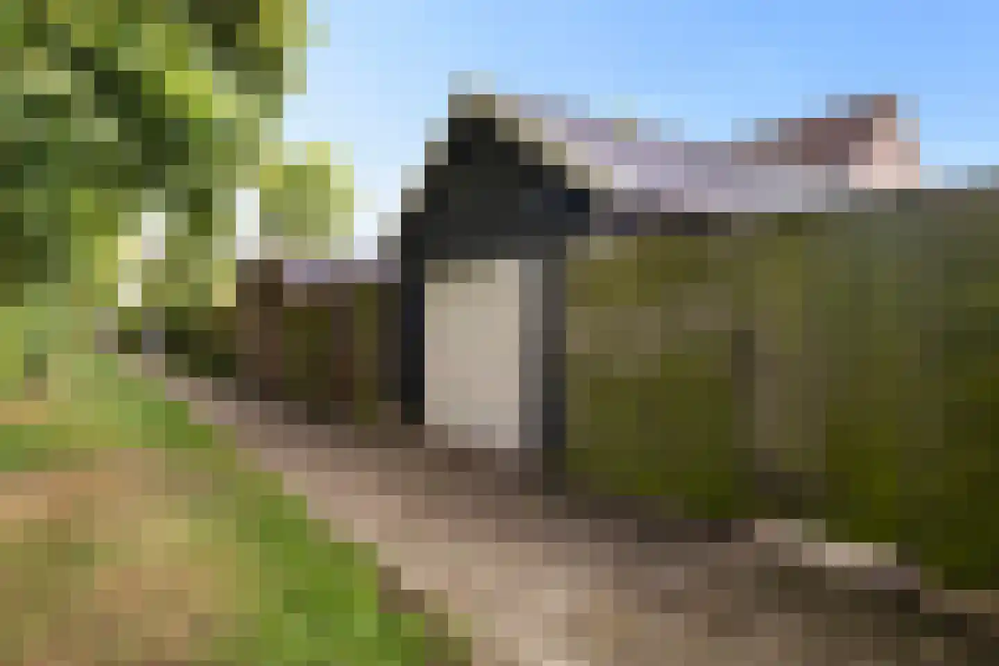 Wyger Martensstrjitte 50 Damwâld thumbnail 56