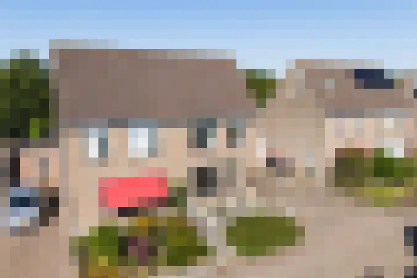 Wyger Martensstrjitte 50 Damwâld thumbnail 6