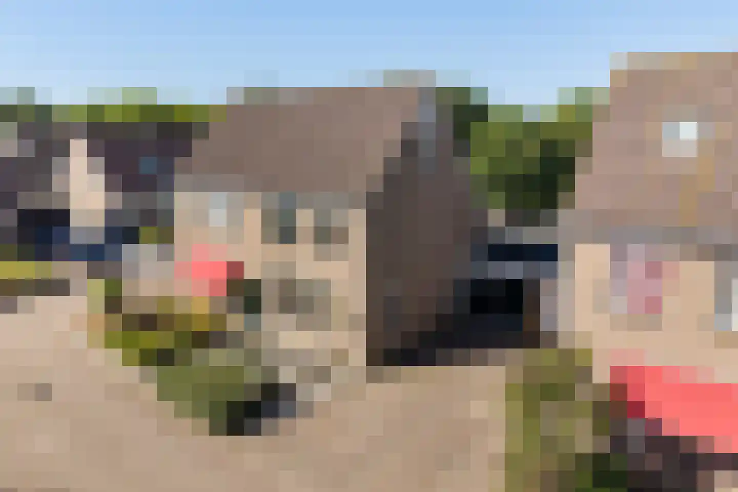 Wyger Martensstrjitte 50 Damwâld thumbnail 8