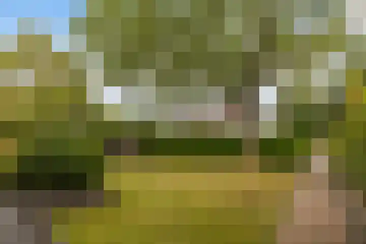 Wyger Martensstrjitte 51 Damwâld thumbnail 10