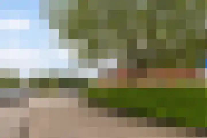 Wyger Martensstrjitte 51 Damwâld thumbnail 11