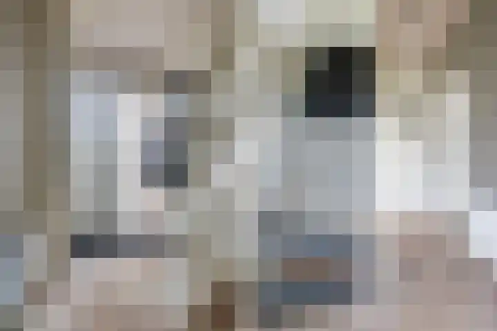 Wyger Martensstrjitte 51 Damwâld thumbnail 13