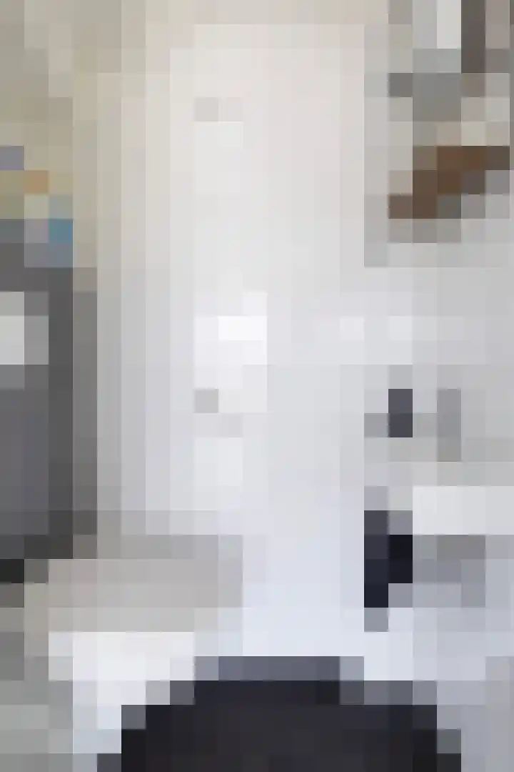 Wyger Martensstrjitte 51 Damwâld thumbnail 17
