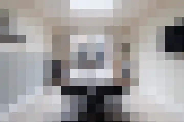 Wyger Martensstrjitte 51 Damwâld thumbnail 18