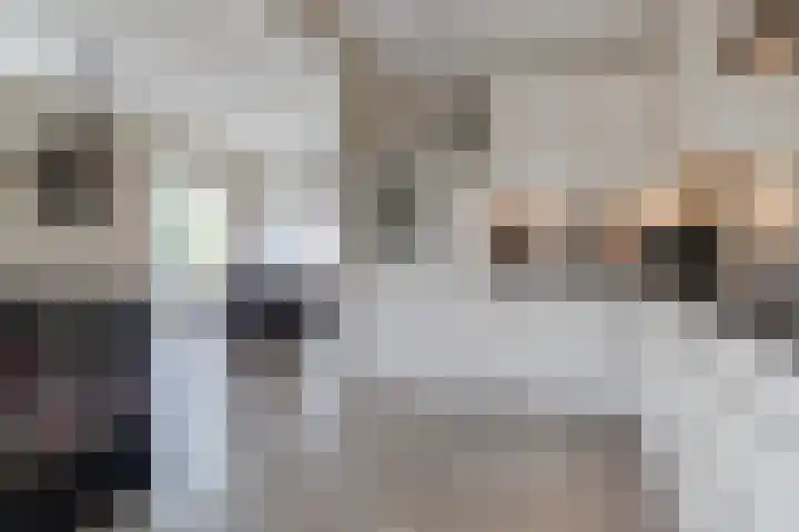 Wyger Martensstrjitte 51 Damwâld thumbnail 21