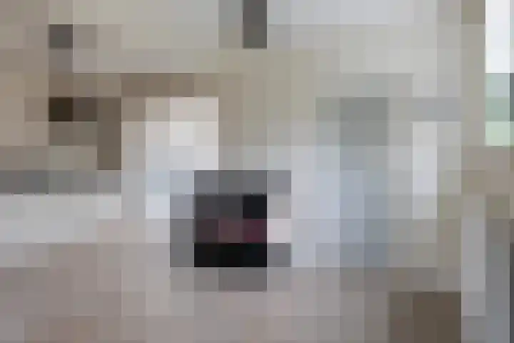 Wyger Martensstrjitte 51 Damwâld thumbnail 22
