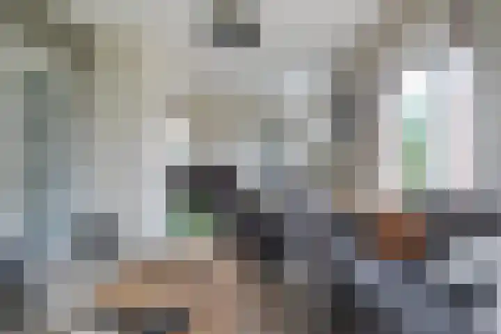 Wyger Martensstrjitte 51 Damwâld thumbnail 25