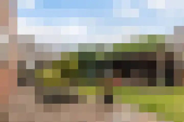 Wyger Martensstrjitte 51 Damwâld thumbnail 26