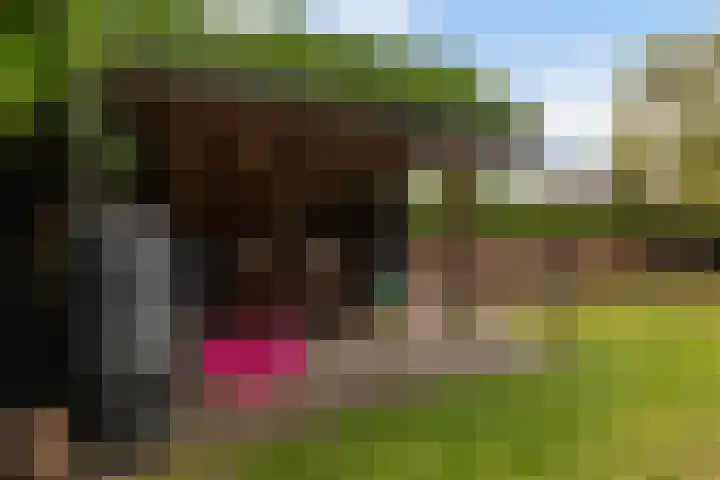 Wyger Martensstrjitte 51 Damwâld thumbnail 28