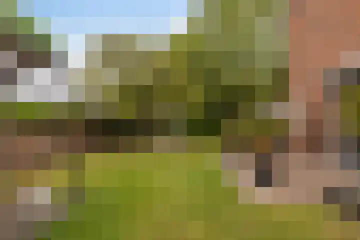 Wyger Martensstrjitte 51 Damwâld thumbnail 29