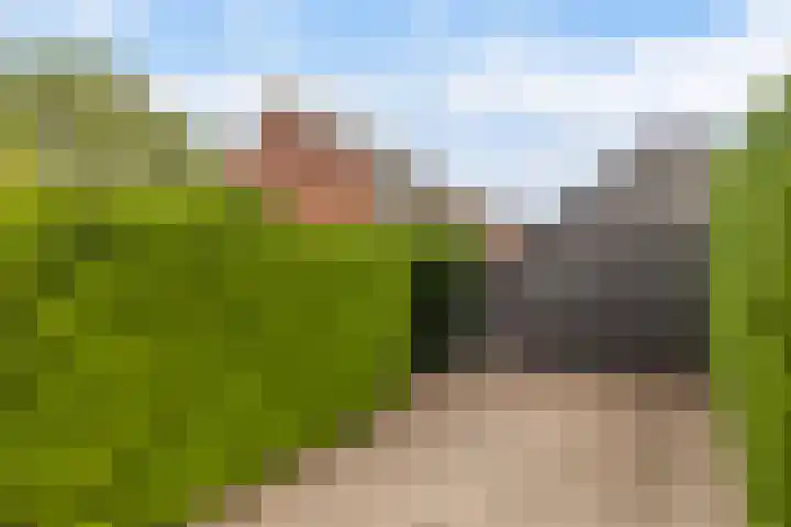 Wyger Martensstrjitte 51 Damwâld thumbnail 31