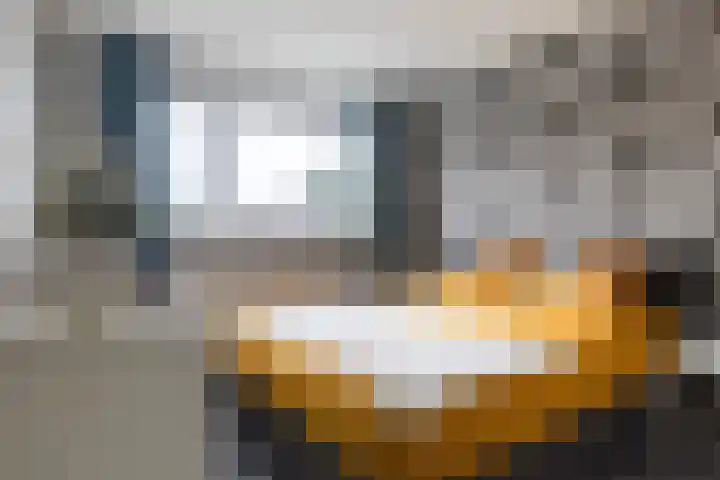 Wyger Martensstrjitte 51 Damwâld thumbnail 38