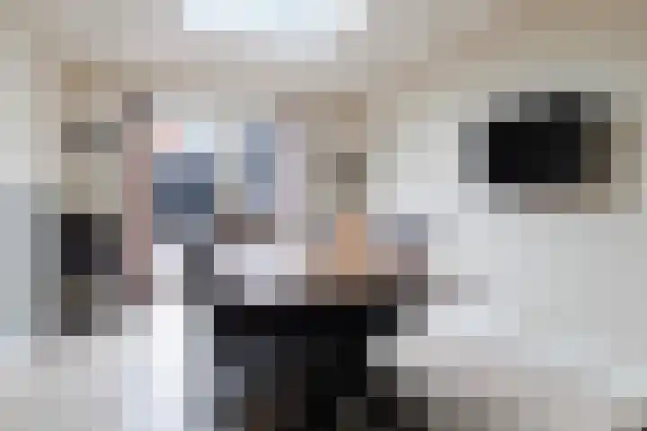 Wyger Martensstrjitte 51 Damwâld thumbnail 4