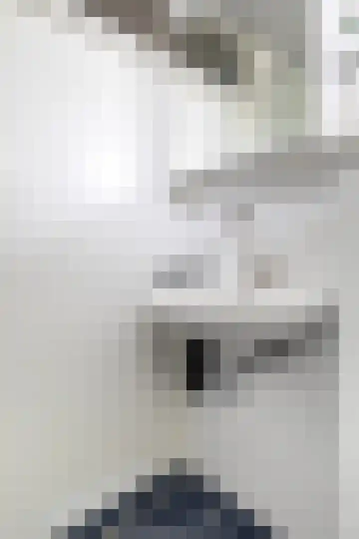 Wyger Martensstrjitte 51 Damwâld thumbnail 43