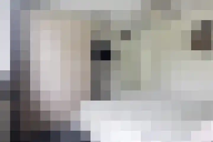 Wyger Martensstrjitte 51 Damwâld thumbnail 47