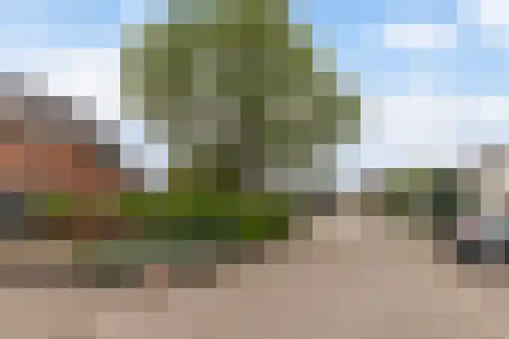 Wyger Martensstrjitte 51 Damwâld thumbnail 5