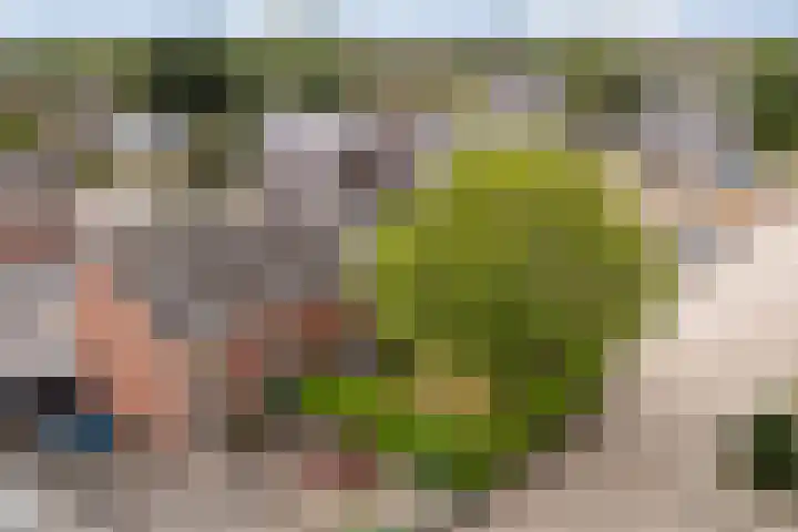 Wyger Martensstrjitte 51 Damwâld thumbnail 50