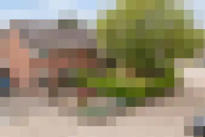 Wyger Martensstrjitte 51 Damwâld thumbnail 51