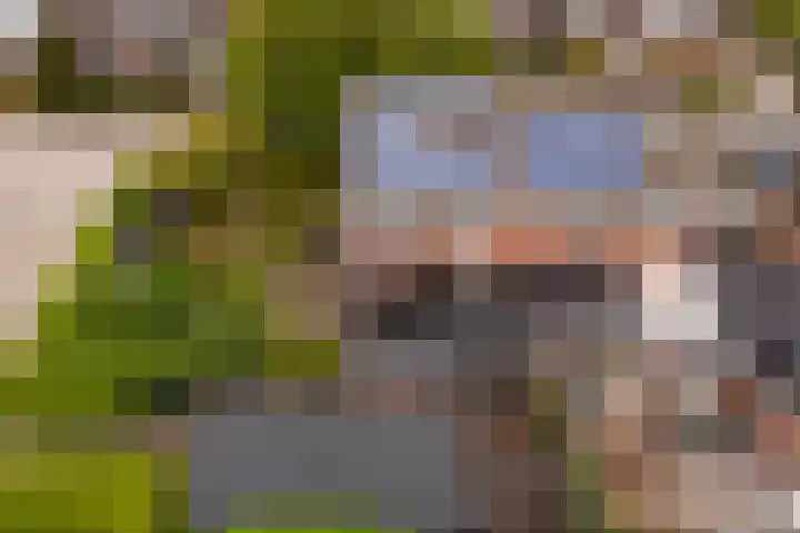 Wyger Martensstrjitte 51 Damwâld thumbnail 52