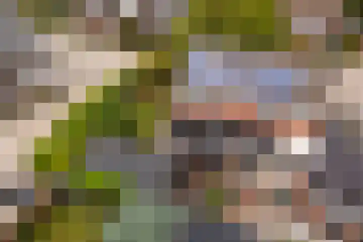 Wyger Martensstrjitte 51 Damwâld thumbnail 53