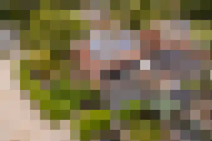 Wyger Martensstrjitte 51 Damwâld thumbnail 54