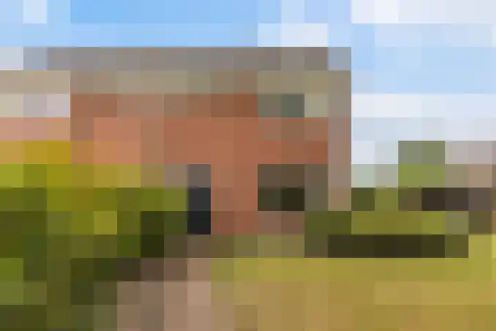 Wyger Martensstrjitte 51 Damwâld thumbnail 6
