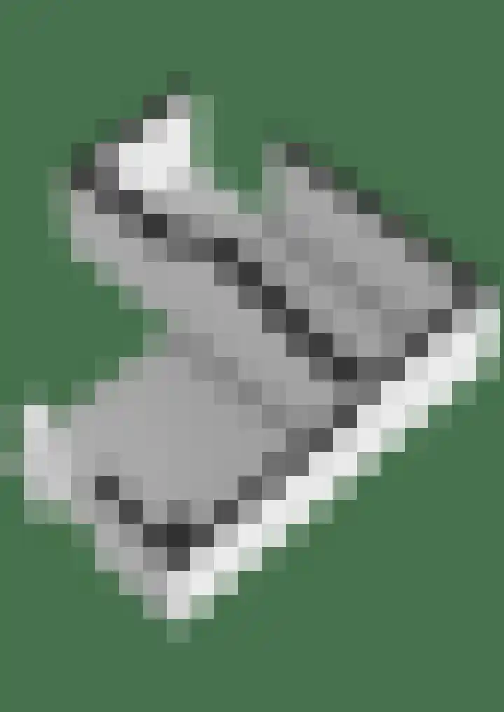 Wyger Martensstrjitte 51 Damwâld thumbnail 62