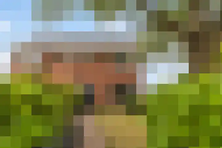 Wyger Martensstrjitte 51 Damwâld thumbnail 7