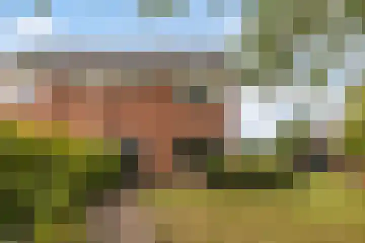 Wyger Martensstrjitte 51 Damwâld thumbnail 8